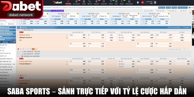 SABA Sports – Sảnh trực tiếp với tỷ lệ cược hấp dẫn